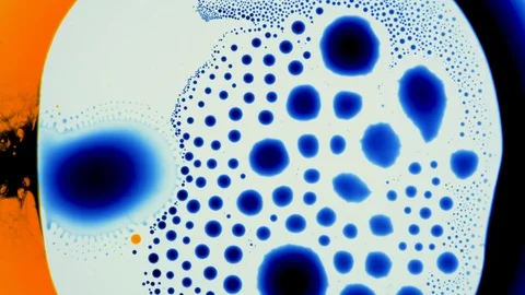 Marangoni effect, shocking phenomenon. Beautiful scientific chemical experiment. Stock Footage 126585590