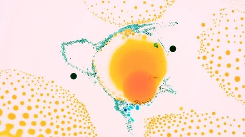 Marangoni effect, shocking phenomenon. Beautiful scientific chemical experiment. Stock Footage 126592061