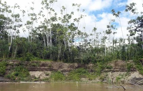 Maranon riverside Foto stock