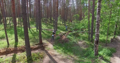 Marathon on a bike. In forest. Vídeo Stock 86807437