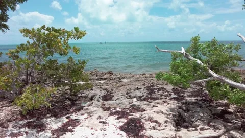 Marathon Key Stock Footage 232702733