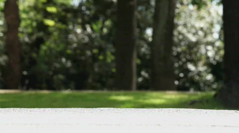 Marathon legs 2 loop Stock Footage 370440