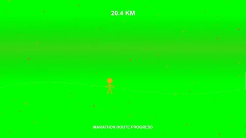 Marathon Runner Route Counter Animated Motion Graphic Concept Stock Footage 341650325