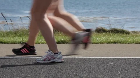 Marathon runners Stock Footage 42441878