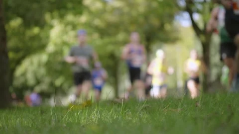 Marathon Runners Running Past with Grass in Foreground Stock Footage 346503308