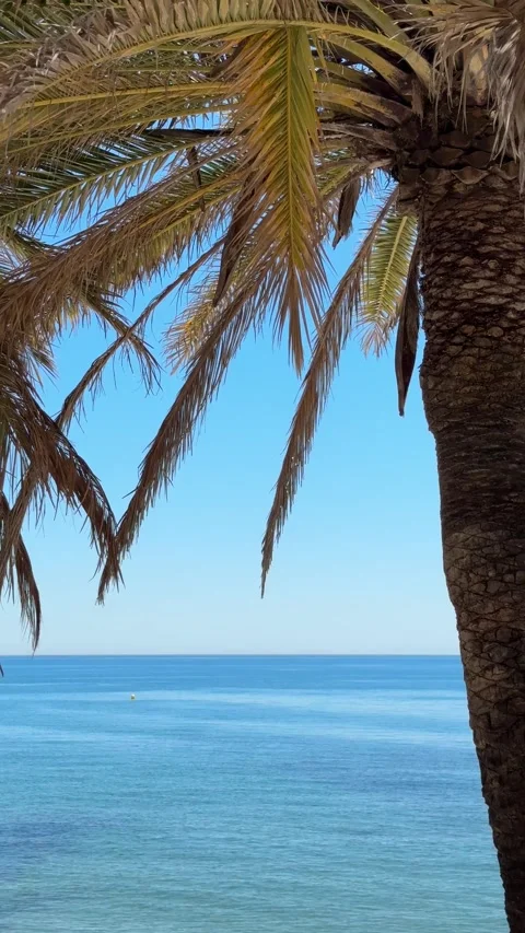 Marbella, Spain - 05 26 2025: Marbella Spain walking around Stock Footage 320640992