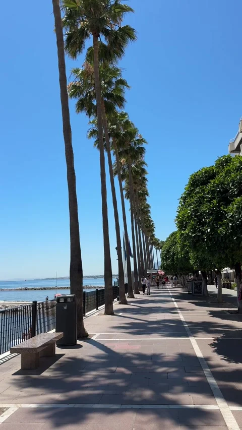 Marbella, Spain - 05 26 2025: Marbella Spain walking around Stock Footage 320641007