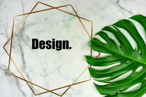 Marble background with monstera leaf and golden shape frame for text . 写真素材