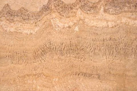 Marble background Фото