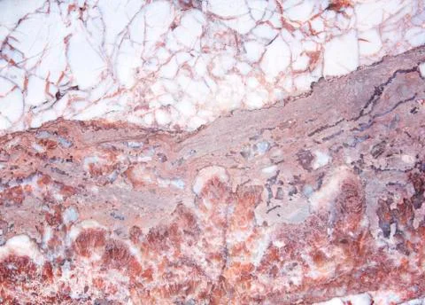 Marble background Stock Photos