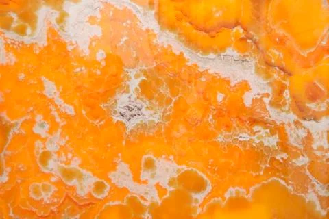 Marble background Фото