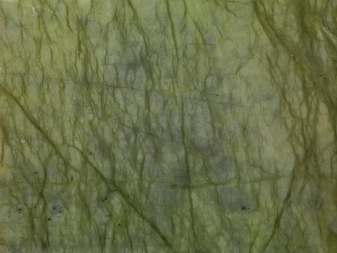 Marble background plate Stock Photos