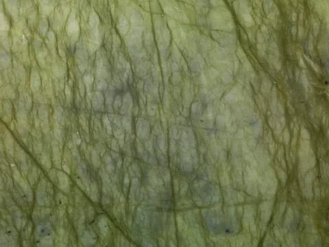 Marble background plate Stock Photos