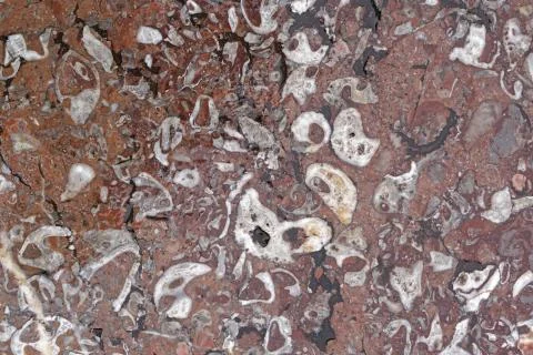 Marble background texture Stock Photos