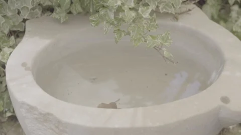 Marble Bathtub Stock Footage 125875798
