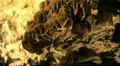 Marble Cave 01 Handy Oregon Caves HD Footage