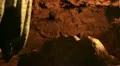 Marble Cave 10 Handy Oregon Caves HD Footage