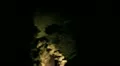 Marble Cave 20 Handy Oregon Caves HD Footage