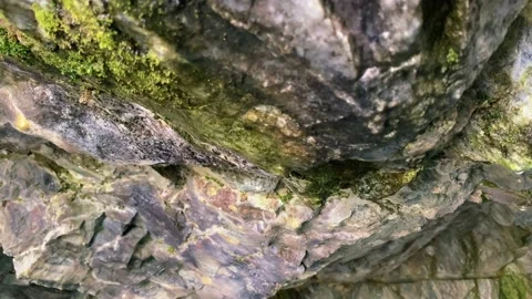 In a marble cave, water drips drop by drop from the ceiling, which is overgrown Stock Footage 196216974