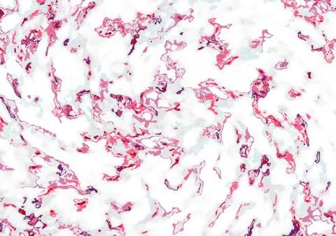 Marble collection abstract pattern texture pastel color background template v Stock Illustration