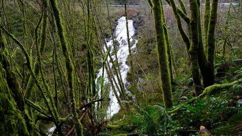 Marble Creek Falls, Cowlitz County, Washington Stock Footage 74240664