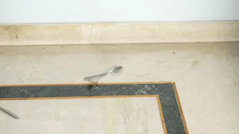 Marble Floor with Decorative Border Stock Footage 339565374