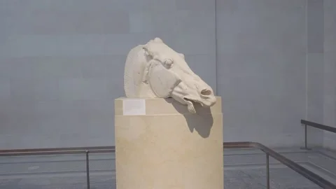 Marble horse head statue from classical Greek style from the Athens Video stock 148060642
