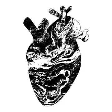 Marble human heart イラスト素材