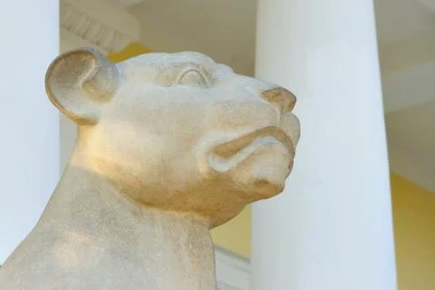 Marble lion Stock Photos