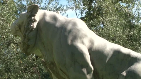 The marble lion roaring Stock Footage 61493351