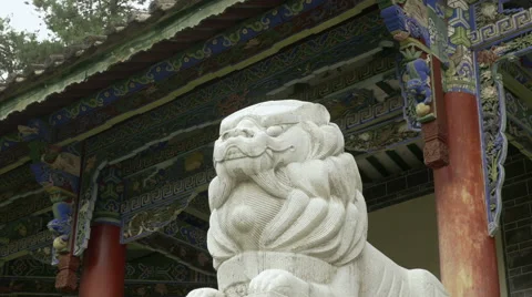 Marble lion statue in front of an ancient buddhist wooden temple, China 動画素材 64555010