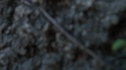 Marble Mountains Stock Footage 102294674