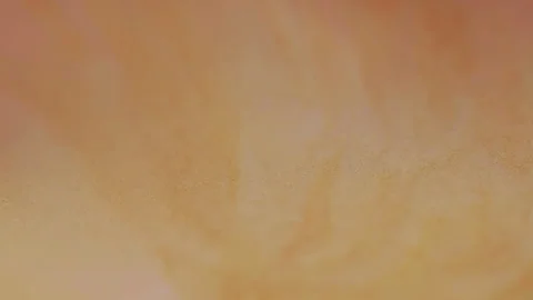 Marble paint abstract stains splash chemical water Video stock 317508597