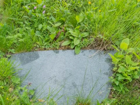 Marble plate in grass Stock Photos