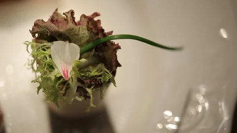 Marble pork steak 動画素材 106064956