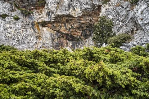 Marble Quarry Cliffs and Green Shrubs on Penteli Mountain Greece Stock Photos