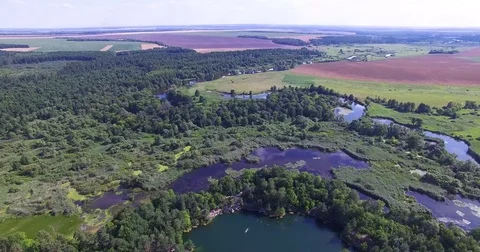 Marble quarry. Small lake in the forest. Aerial view from the top. Video stock 78300623
