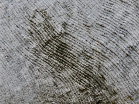 Marble rough grey Foto stock