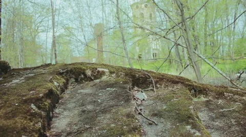 Marble staircase overgrown with moss Видео 65251439