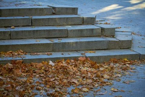 Marble steps covered with orange fallen leaves, selective focus Foto stock