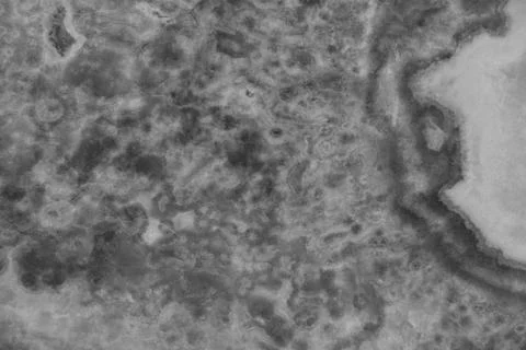 Marble stone pattern useful as background or texture, natural black white marble Stock Photos