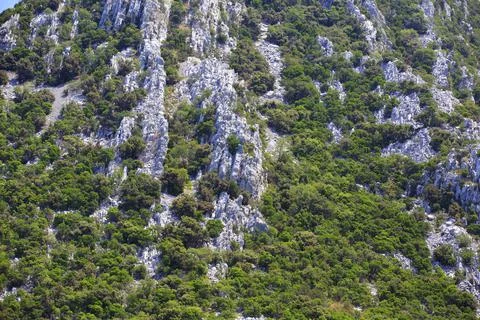 Marble stone Stock Photos