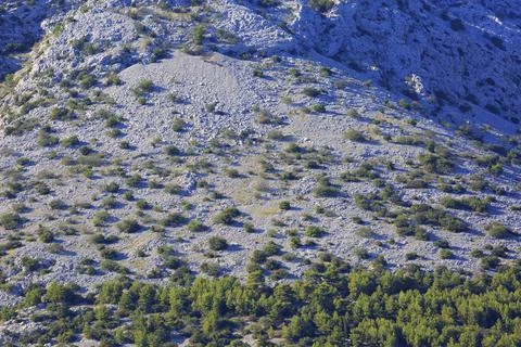 Marble stone Stock Photos