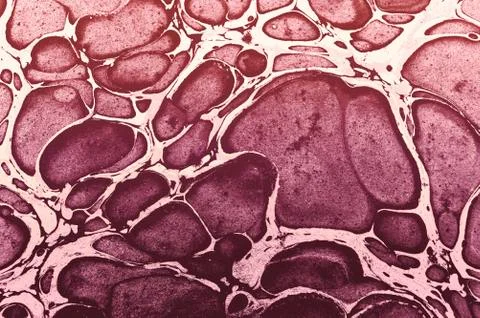 Marble Texture Abstract Background Stock Illustration