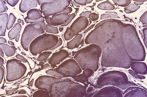 Marble Texture Abstract Background Stock Illustration