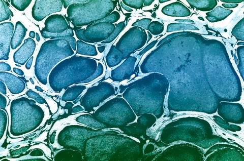 Marble Texture Abstract Background Stock Illustration