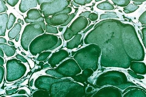 Marble Texture Abstract Background Stock Illustration