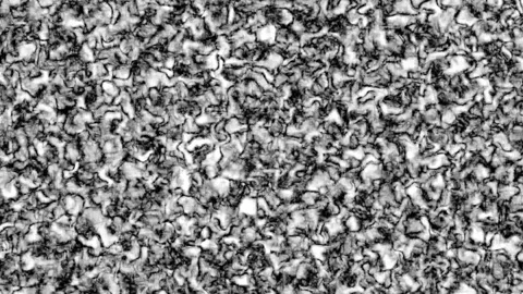 Marble texture animation with black and white. Marble texture abstract digi.. Stock Footage 337622315