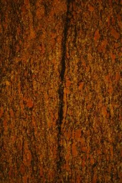 Marble texture background Stock Photos