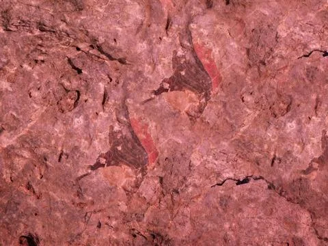 Marble Texture In The Garden 스톡 사진